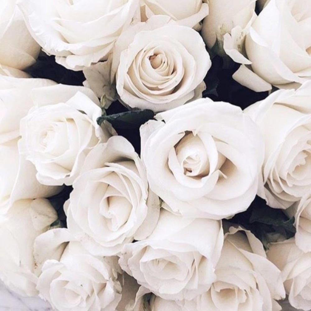 Meet your Posher, Kamya